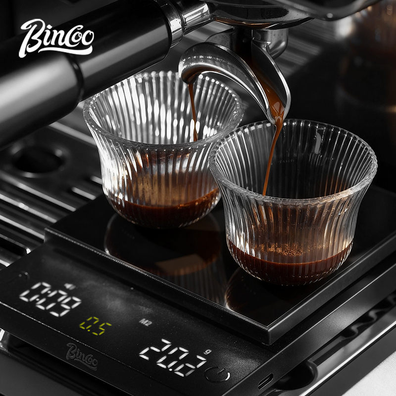 BINCOO Digital Coffee Scale 0. - Scale Drip Timer recension och pris
